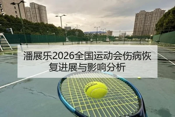 潘展乐2026全国运动会伤病恢复进展与影响分析