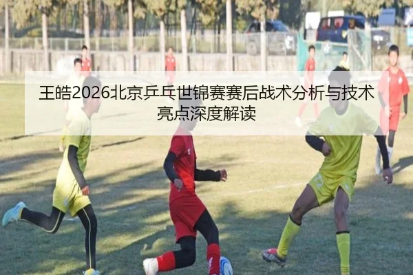 王皓2026北京乒乓世锦赛赛后战术分析与技术亮点深度解读